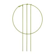 Держатель кольц. для растений d18см |28см, мета